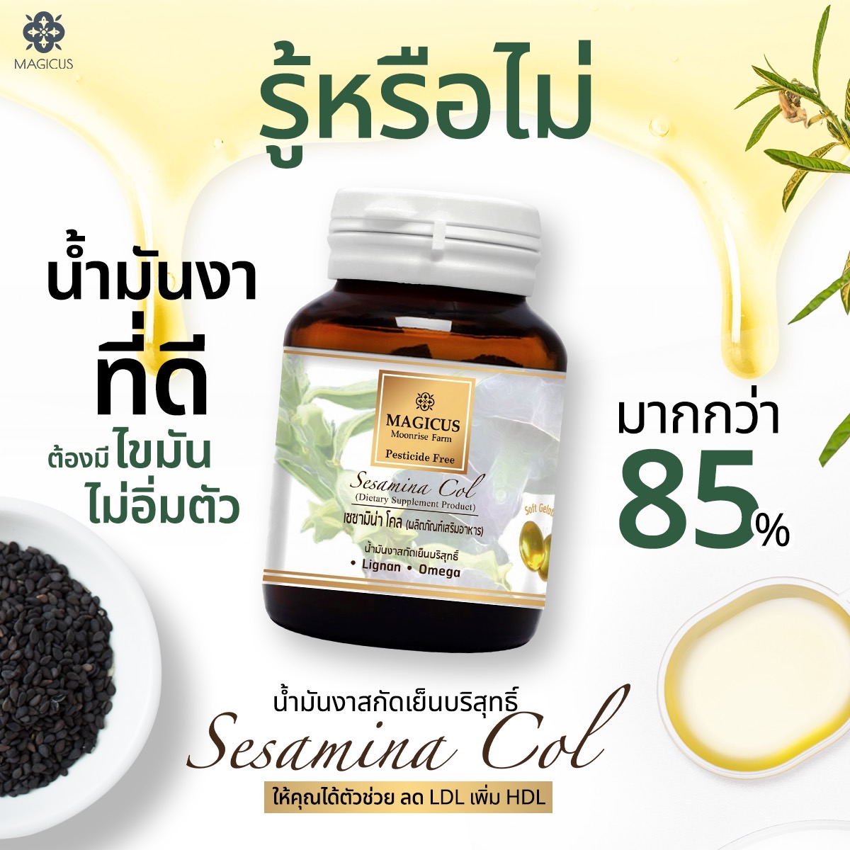 Magicus Sesamina Col น้ำมันงาสกัดเย็นบริสุทธิ์ 60 แคปซูล - Image 3