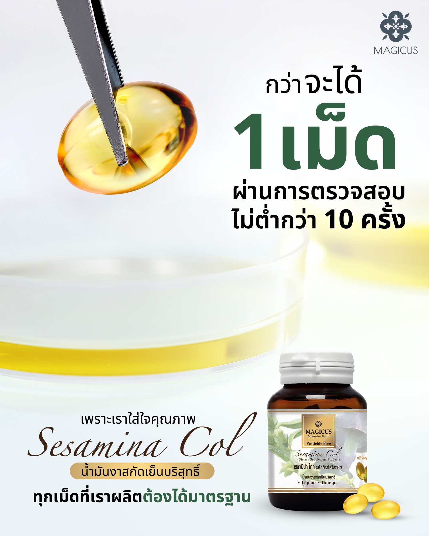 Magicus Sesamina Col น้ำมันงาสกัดเย็นบริสุทธิ์ 60 แคปซูล - Image 4