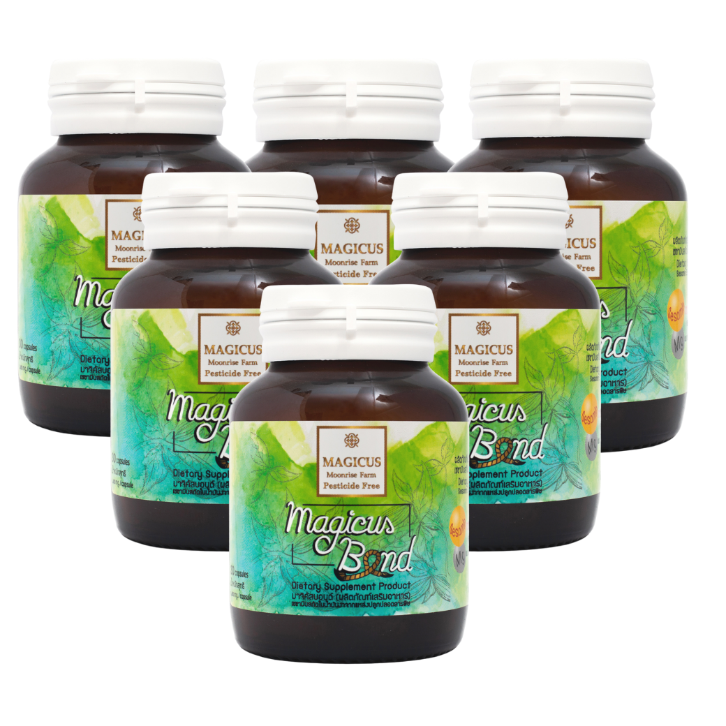 มาจิคัสบอนด์ Magicus Bond อาหารเสริมบำรุงกระดูกและข้อ 6 ขวด
